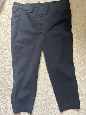 Women's Spanx On The Go ankle slim Stretch Pants